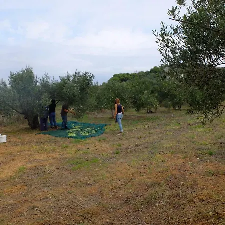 Apartment Voltera Parking Space Near The House Betina (Sibenik-Knin)